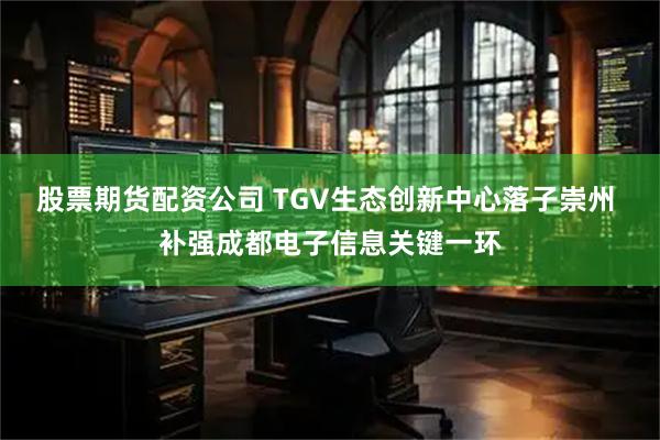 股票期货配资公司 TGV生态创新中心落子崇州 补强成都电子信息关键一环